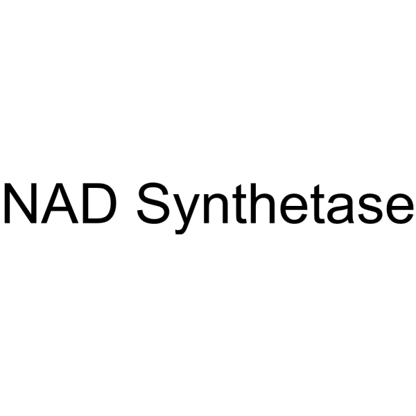 NAD Synthetase 9032-69-3